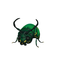 Beetle Hat