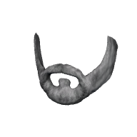 Viking Beard